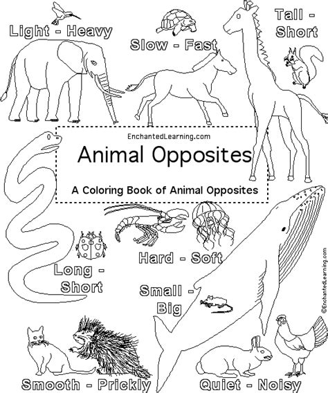 Animal Coloring Pages N Enchantedlearning Com North American Animals Coloring Pages - North American Animals Coloring Pages