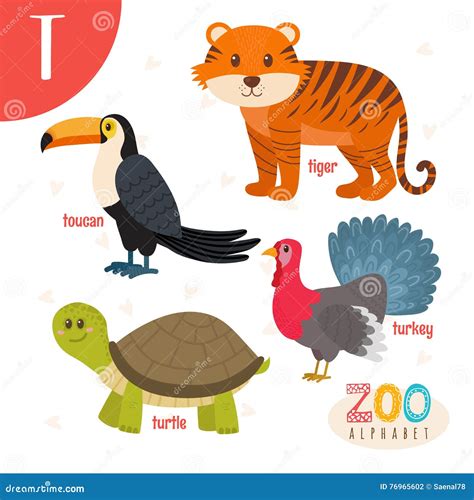 Animal Con T