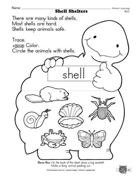 Animal Coverings Worksheets K5 Learning Seashell Worksheet Grade 1 - Seashell Worksheet Grade 1
