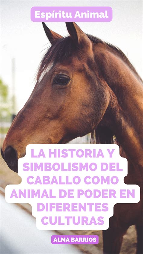Animal De Poder Caballo