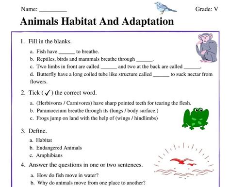 Animal Diversity And Adaptations 5th Grade Science Worksheets Science Adaptation Worksheet 5 Grade - Science Adaptation Worksheet 5 Grade