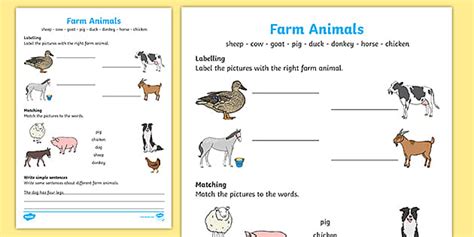 Animal Farm Worksheets Introduction To Animals Worksheet Key - Introduction To Animals Worksheet Key