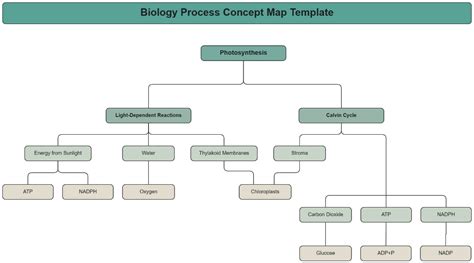 animal features concept map