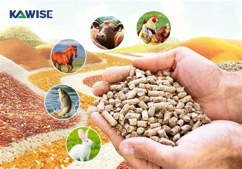 animal feed formulation application