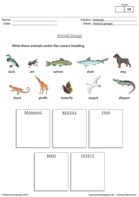 Animal Group Worksheet Science Resource Teacher Made Twinkl Kindergarten Animal Characteristic Worksheet - Kindergarten Animal Characteristic Worksheet
