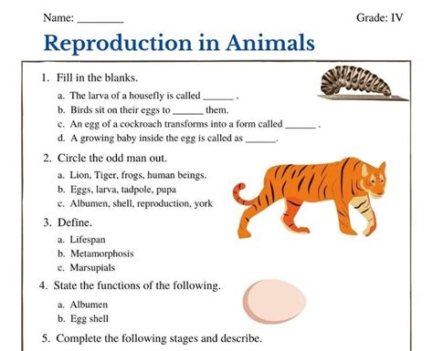 Animal Growth And Reproduction Science Worksheets And Study Animal Development Worksheet - Animal Development Worksheet