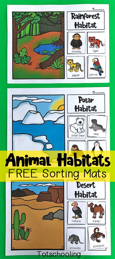 Animal Habitat Activities For Pre K Amp Kindergarten Habitat Kindergarten - Habitat Kindergarten