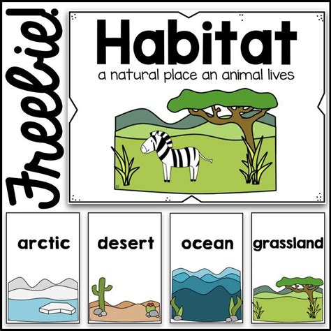 Animal Habitat For Kindergarten   Free Printable Animal Habitats Activities For Preschool Amp - Animal Habitat For Kindergarten