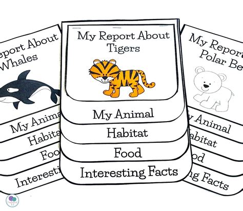 Animal Habitats A First Grade Research Project Firstieland Habitat Worksheets For First Grade - Habitat Worksheets For First Grade