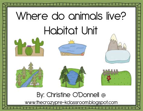 Animal Habitats Lesson For Kindergarten Chapter Kids Academy Kindergarten Animal Lessons - Kindergarten Animal Lessons