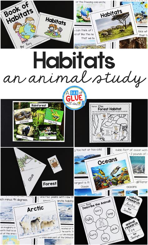 Animal Habitats Science Unit A Dab Of Glue Kindergarten Animal Unit - Kindergarten Animal Unit