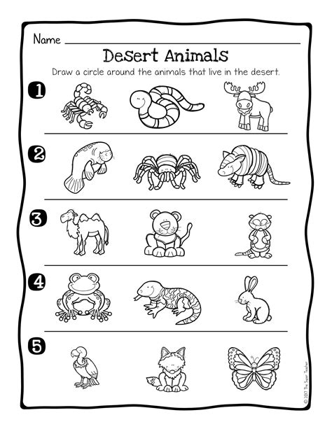 Animal Habitats Worksheet For Preschool Kindergarten Kids Animal Habitat For Kindergarten - Animal Habitat For Kindergarten