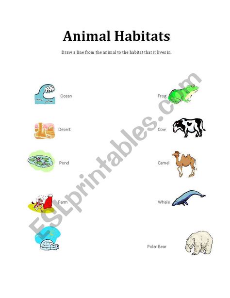 Animal Habitats Worksheets Db Excel Com Habitat Worksheets For 1st Grade - Habitat Worksheets For 1st Grade