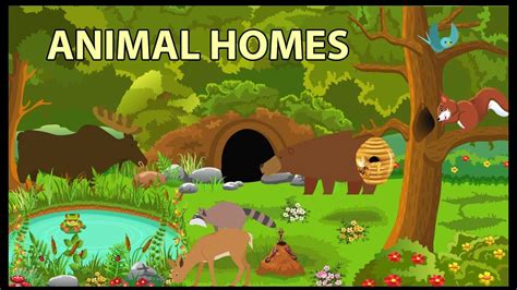 Animal Homes Vocabulary For Kids Youtube Animals With Their Shelters - Animals With Their Shelters