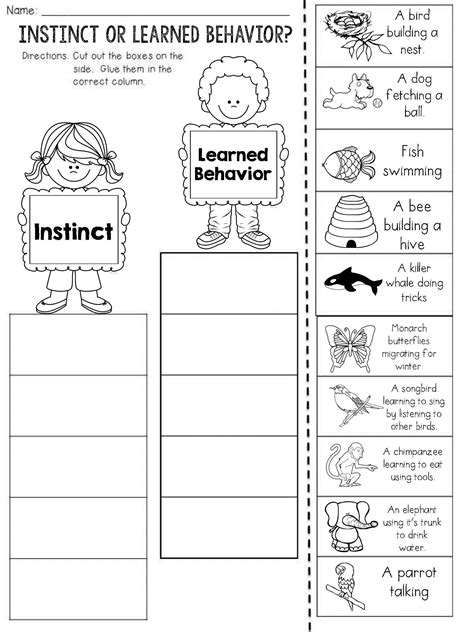 Animal Instincts 4th Grade Teaching Resources Tpt Animal Instincts Worksheet 4th Grade - Animal Instincts Worksheet 4th Grade