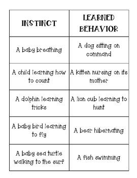 Animal Instincts And Learned Behaviors Teaching Resources Tpt Animal Instincts Worksheet 4th Grade - Animal Instincts Worksheet 4th Grade