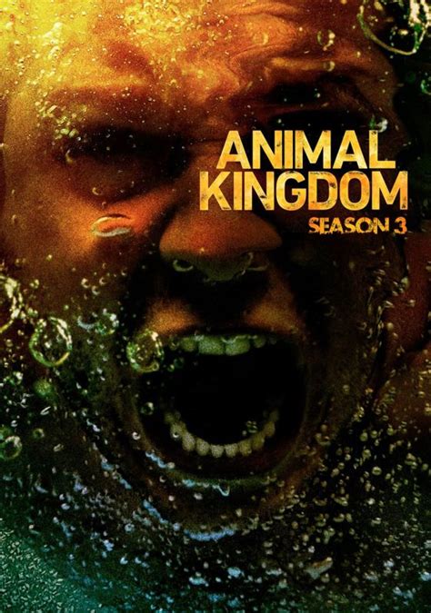 animal kingdom 3 sezon 9 bölüm