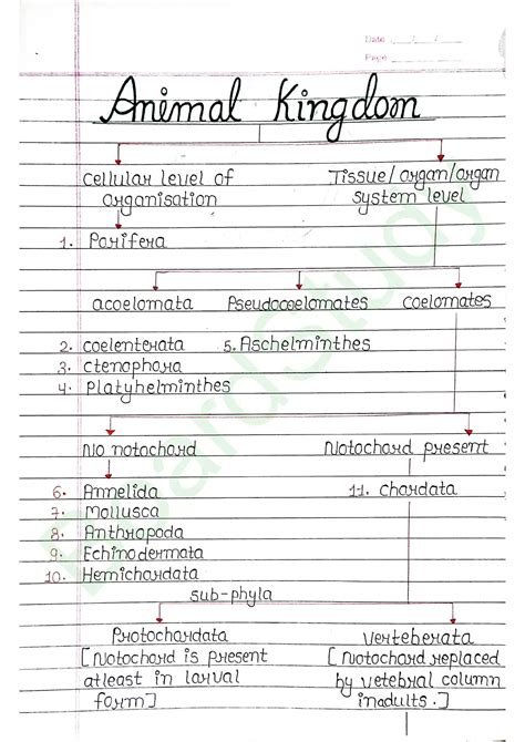 Animal Kingdom Class 11 Notes