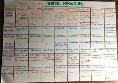 Animal Kingdom Notes