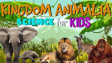 Animal Kingdom Science For Kids Youtube Animal Science For Kids - Animal Science For Kids
