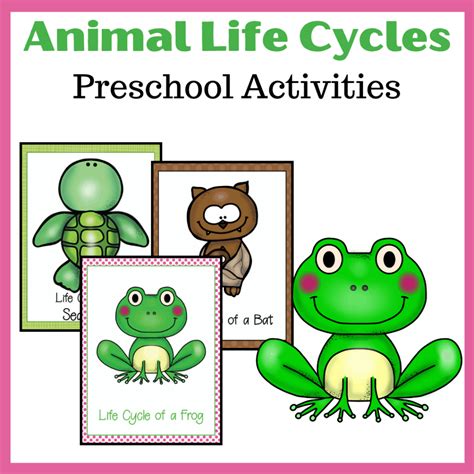 Animal Life Cycles Annenberg Learner Life Science Animals - Life Science Animals