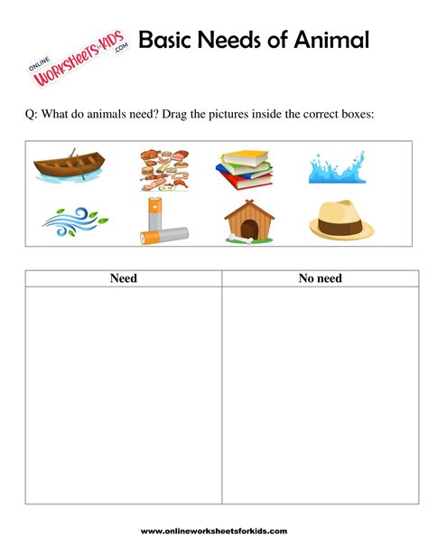 Animal Needs Worksheet Teach Starter Basic Animal Science Worksheet - Basic Animal Science Worksheet