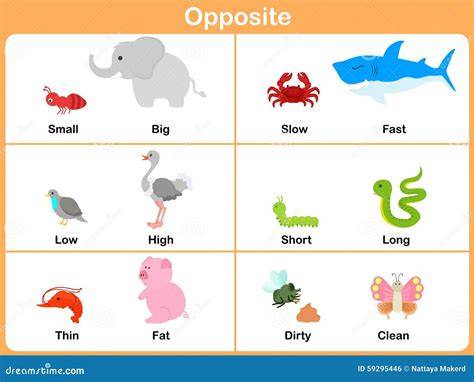 animal opposites