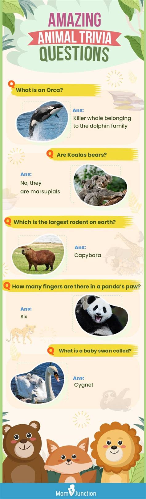 animal questions and answers