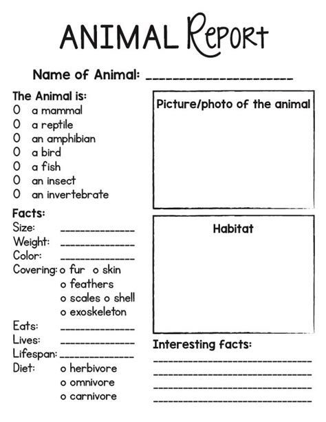 Animal Report Template Third Grade
