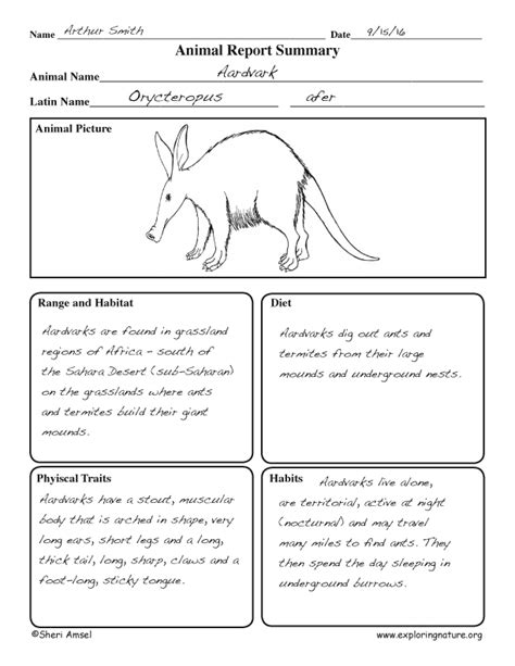 Animal Report Welcome To Stonebrae Room 4 2nd Grade Animal Report - 2nd Grade Animal Report