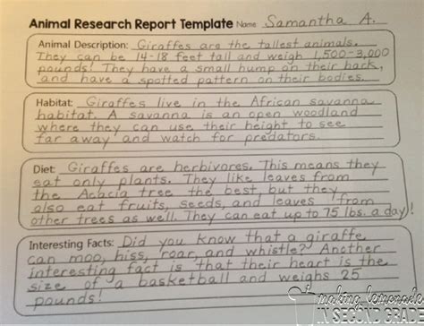 Animal Research Paper For 2nd Grade Animal Research 2nd Grade Animal Report - 2nd Grade Animal Report