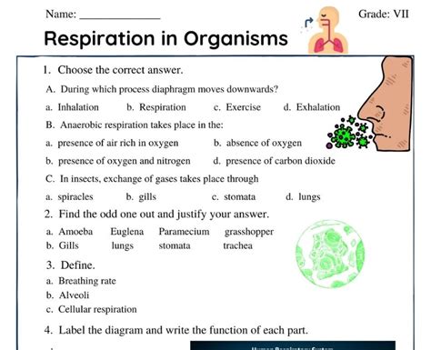Animal Respiratory Breathing System Worksheets Worksheets Respiratory System Worksheet Grade 5 - Respiratory System Worksheet Grade 5