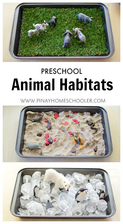Animal Science Green Kid Crafts Preschool  Animal Science Activities - Preschool, Animal Science Activities
