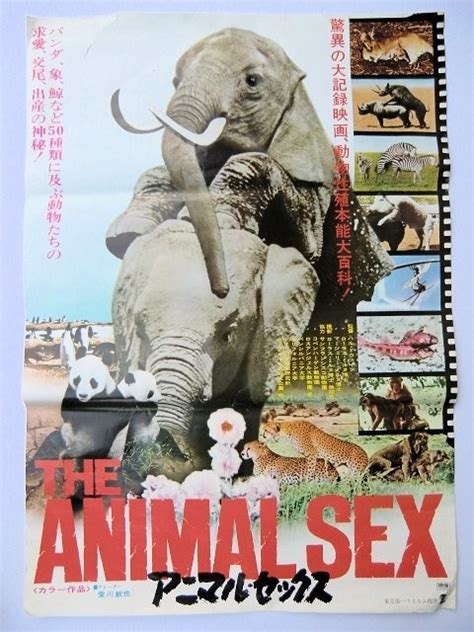 Ainml Sex Video - Animal Sex Movie List yjv