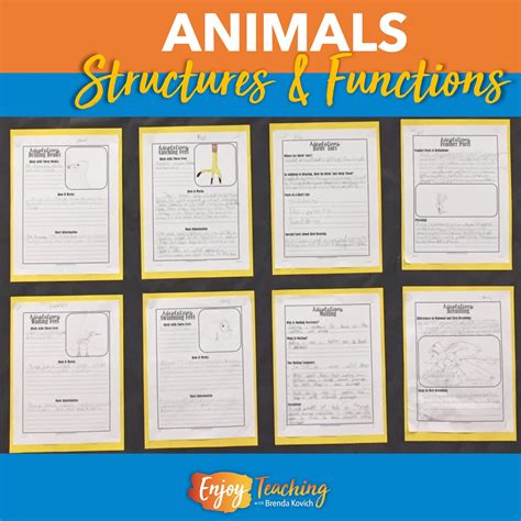 Animal Structures Grade 4 Teaching Resources Teachers Pay Animal Instincts Worksheet 4th Grade - Animal Instincts Worksheet 4th Grade