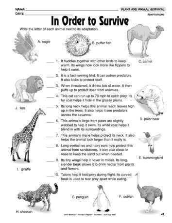Animal Survival And Adaptation Scholastic Adaptations 4th Grade Worksheet - Adaptations 4th Grade Worksheet