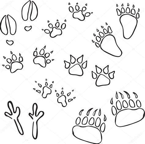 Animal Track Coloring Pages At Getdrawings Free Download Animal Tracks Coloring Page - Animal Tracks Coloring Page