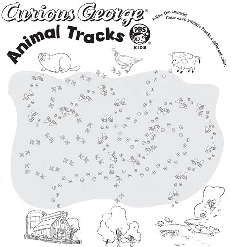 Animal Tracks Kids Coloring Pages Pbs Kids For Animal Tracks Coloring Page - Animal Tracks Coloring Page