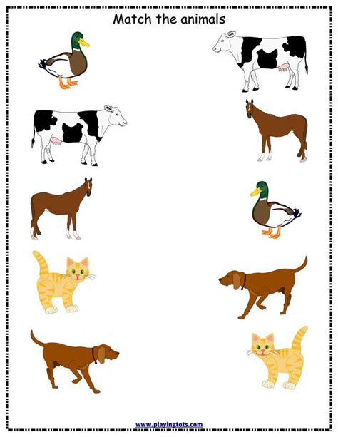 Animal Worksheet Preschoolplanet Matching Animals Worksheet For Kindergarten - Matching Animals Worksheet For Kindergarten