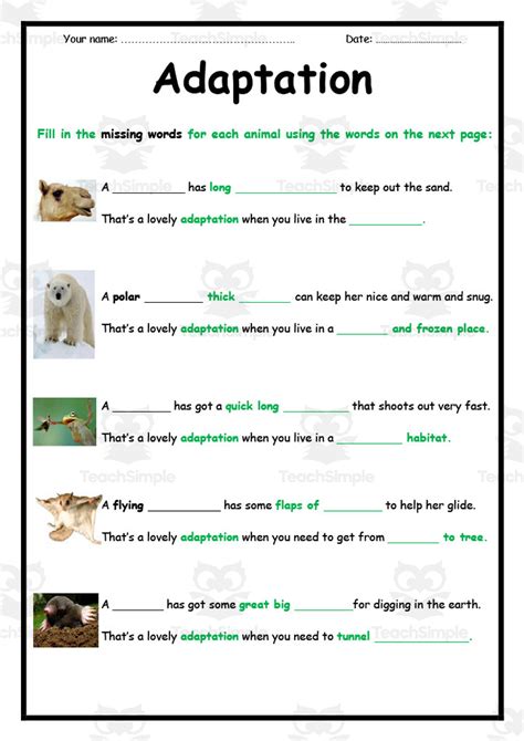 Animal Worksheets Adaptations Over Time Worksheet Answers - Adaptations Over Time Worksheet Answers