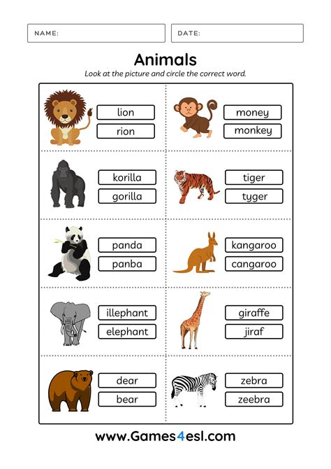 Animal Worksheets Games4esl Introduction To Animals Worksheet Answer - Introduction To Animals Worksheet Answer