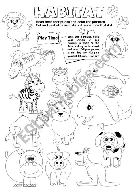 Animal Worksheets K12 Workbook Wr 2nd Grade Worksheet - Wr 2nd Grade Worksheet