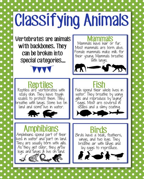 Animal Worksheets Science Notes And Projects Basic Animal Science Worksheet - Basic Animal Science Worksheet