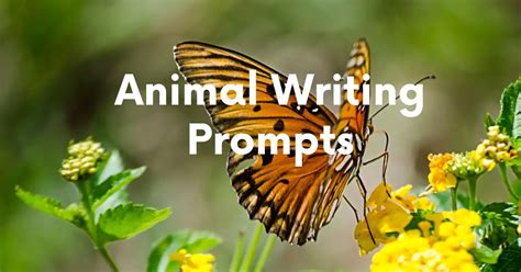 Animal Writing Prompts Stray Mum Animal Writing - Animal Writing