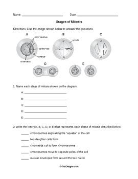 Read Animal Cell Mitosis And Cytokinesis 16 Answer 