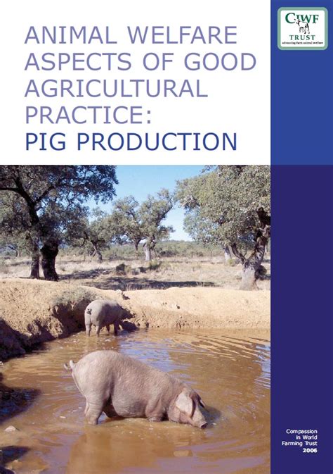 Download Animal Welfare Aspects Of Good Agricultural Practice Pig 