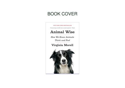 Download Animal Wise Pdf 