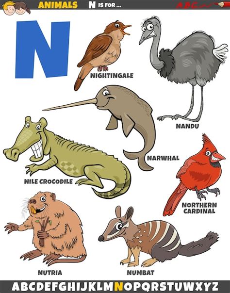 Animales Con La N