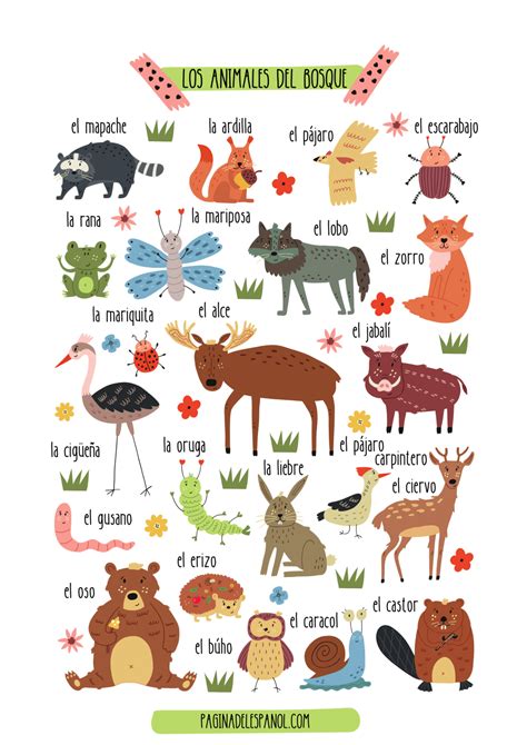 Animales Del Bosque