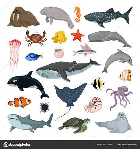 Animales Del Mar